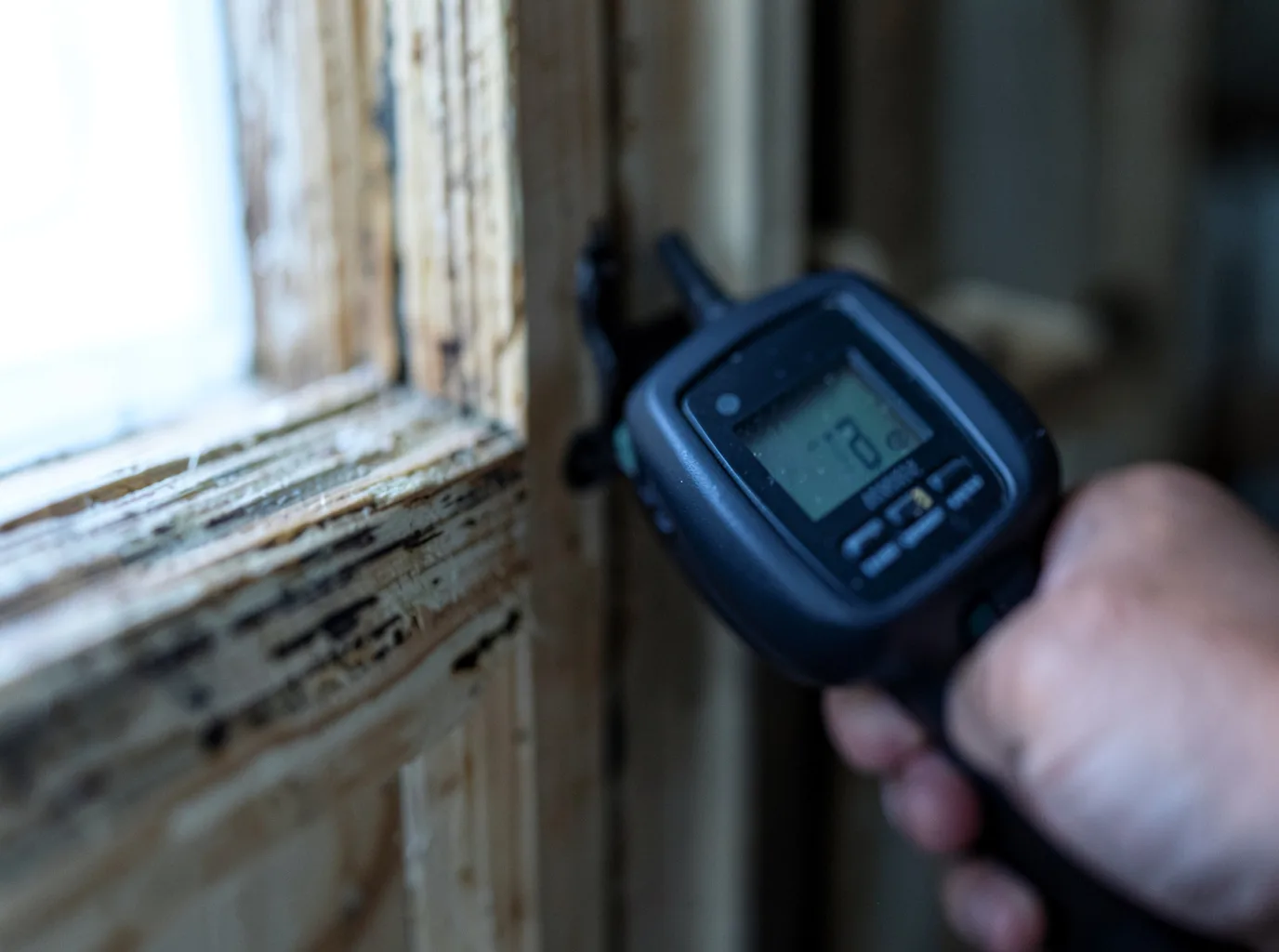 Moisture Inspection And Documentation in Ferguson, KY